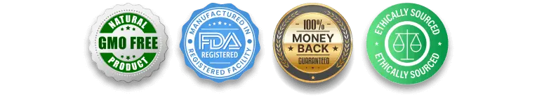 Sleep Lean Certification